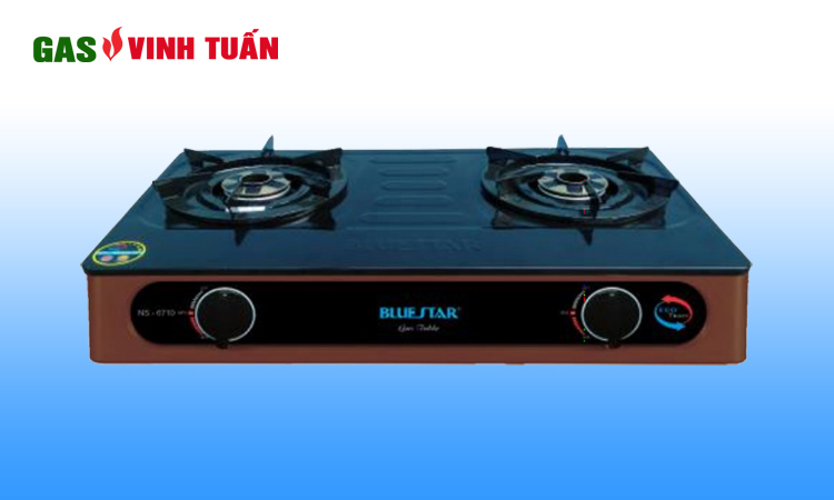 Bếp gas đôi Bluestar NS-6710H